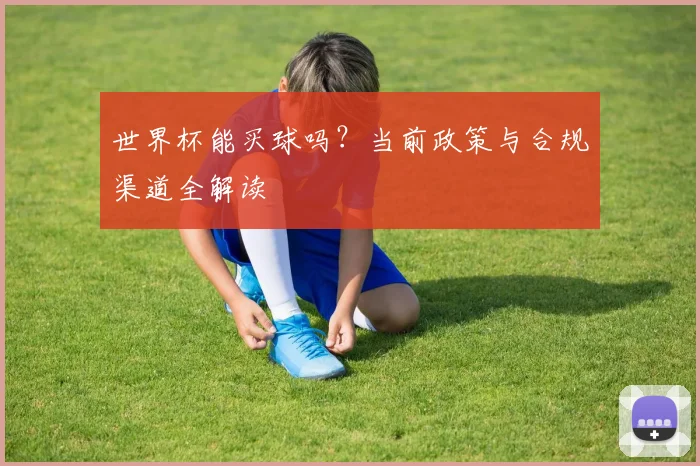 世界杯能买球吗？当前政策与合规渠道全解读