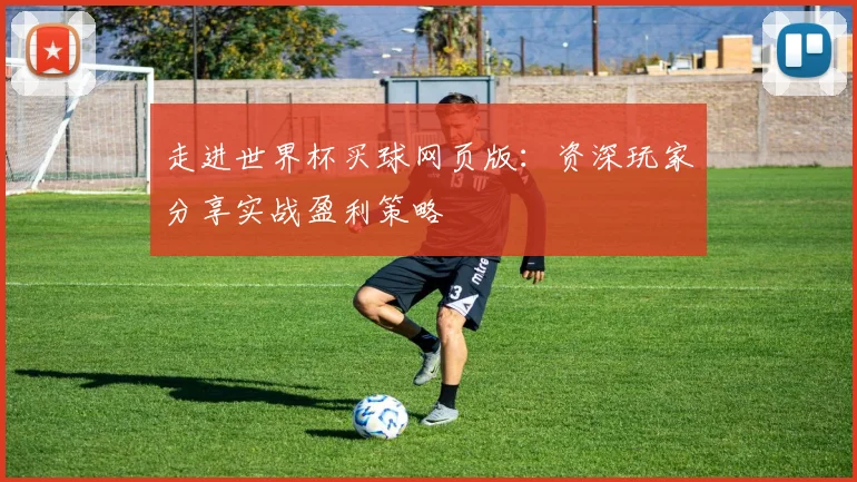 走进世界杯买球网页版：资深玩家分享实战盈利策略