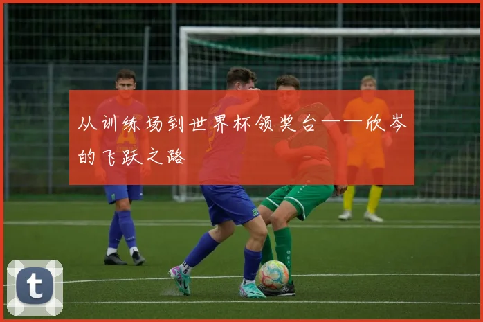 从训练场到世界杯领奖台——欣岑的飞跃之路